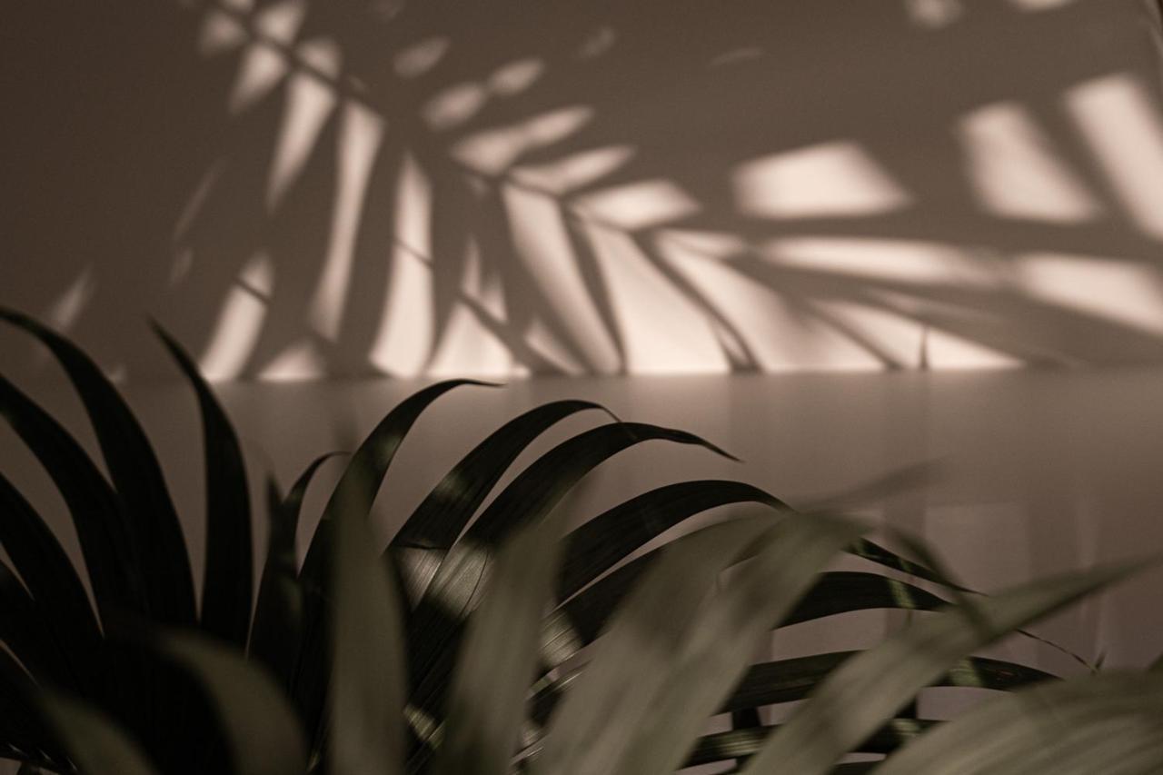 Kentia Modern/Artistic City Apartment イラクリオン エクステリア 写真